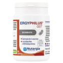 Ergyphilus GST 60 Gélules