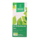 Jus de Bouleau Bio 2 x 250 ml