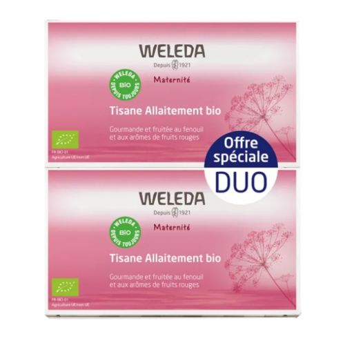 Maternité Tisane Allaitement Fruits Rouges Bio Lot de 2 x 20 Sachets Maternité Tisane Allaitement Fruits Rouges Bio Lot de 2 x 20 Sachets