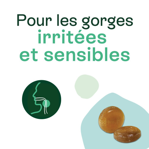 Naturactive Pastilles Gorge irritée/sensible 24 Pastilles Voxyltabs