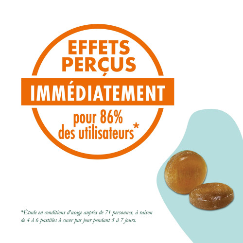 Naturactive Pastilles Gorge irritée/sensible 24 Pastilles Voxyltabs