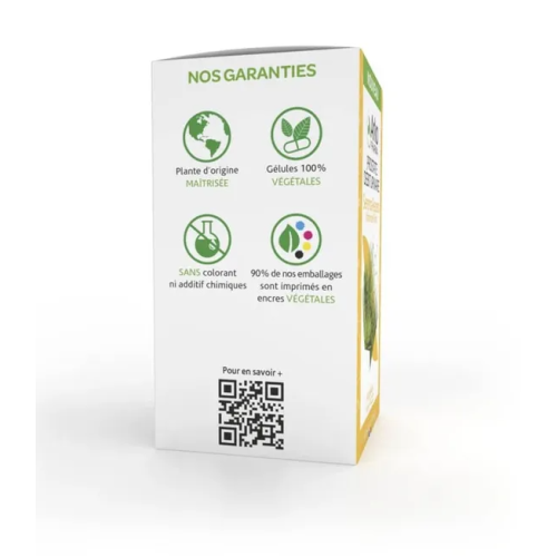 ARKOGÉLULES Serenoa Repens Palmier de Floride Prostate Débit Urinaire 45 gélules