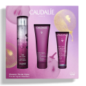Thé Des Vignes Coffret Obsession