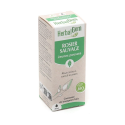 Rosier sauvage Concentré de bourgeons bio 30 ml