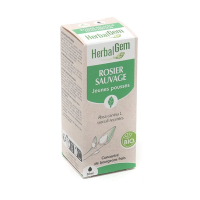 Rosier sauvage Concentré de bourgeons bio 30 ml
