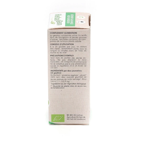 Rosier sauvage Concentré de bourgeons bio 30 ml