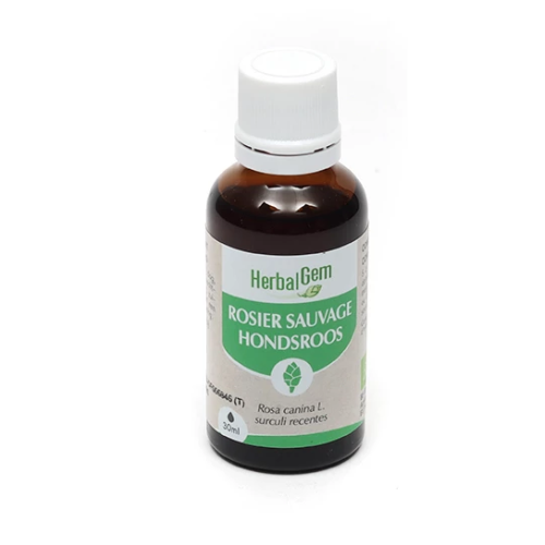 Rosier sauvage Concentré de bourgeons bio 30 ml
