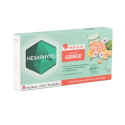 Hexaphyto Mal de gorge 20 pastilles