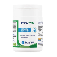 Ergyzym 40 gélules