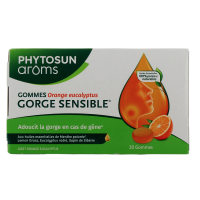 Gommes Gorge Sensible 30 gommes