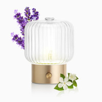 Vera Diffuseur à Nébulisation d'Huiles Essentielles