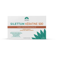 Silettum Kératine 500 40 comprimés