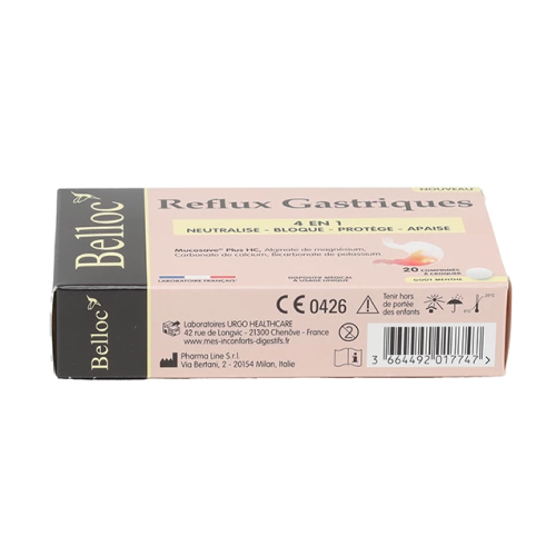 Reflux Gastriques 20 comprimés