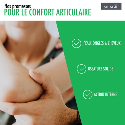 Silagic silicium source végétale 1L Silagic silicium source végétale 1L