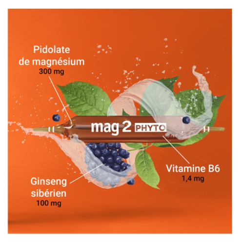 Mag 2 Phyto Énergie 30 Ampoules