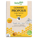 Propolis Large spectre Bio 24 gommes