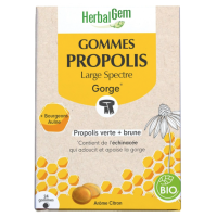 Propolis Large spectre Bio 24 gommes