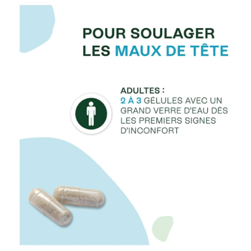 Maux de Tête Flash Bio 14 gélules
