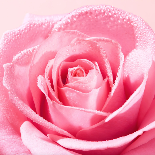 Very rose Gelée Nettoyante Apaisante 150 ml