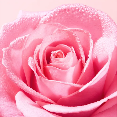 Very rose Huile Delicate Demaquillante 150 ml