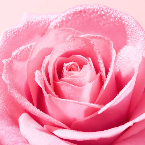 VERY ROSE Mousse Aérienne Nettoyante 150 ml