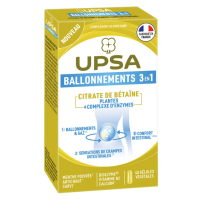 Ballonnements 3en1 40 gélules végétales