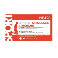 Bien-Être Articulaire Mobilité & Récupération 45 comprimés