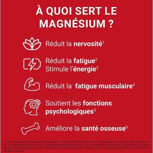 Mag 2 24h Magnesium Marin 2 x 40 comprimés