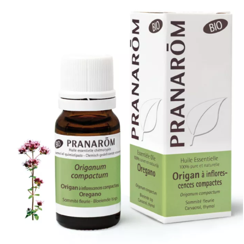 Huile Essentielle Origan à Inflorescences Compactes (Origanum compactum) Bio 10 ml