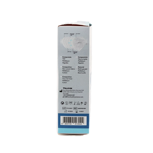 Masque FFP2 NR 10 masques