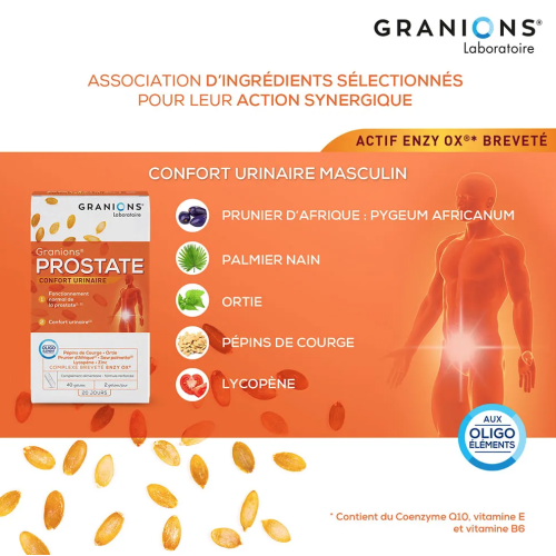 Prostate 40 gélules