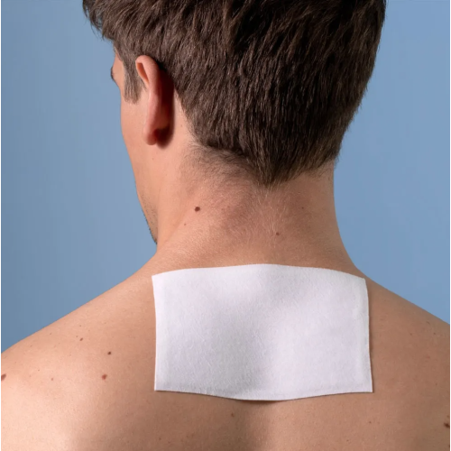 Flect'Expert Patch Harpagophytum 5 patchs