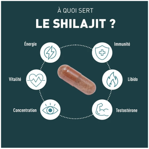 Shilajit 1000 mg 60 Gélules