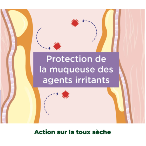 PHYTOXIL TOUX SANS SUCRE sirop adulte enfant +2ans 100 ml