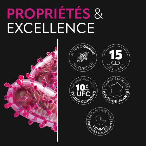 Probiotiques Flore Intestinale 15 Gélules