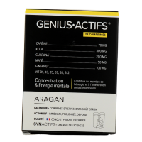 Synactifs Genius Actifs 28 comprimés
