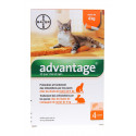 BAYER Advantage  Chat de moins de 4 Kg-3848