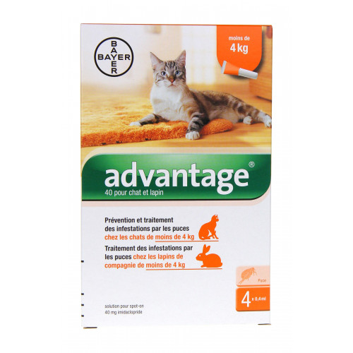 BAYER Advantage Chat de moins de 4 Kg-3848 BAYER Advantage Chat de moins de 4 Kg-3848