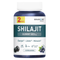 Shilajit 800 mg 60 Gummies