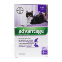 BAYER Advantage  Chat de 4 Kg et plus-3856