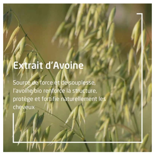 Avoine Après-Shampooing Régénérant 200 ml
