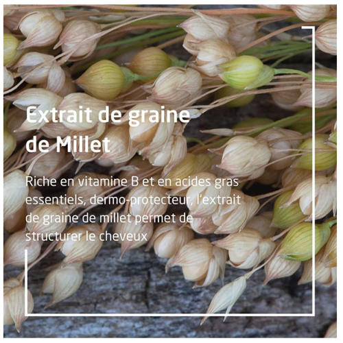 Millet Shampooing Extra-Doux 190 ml