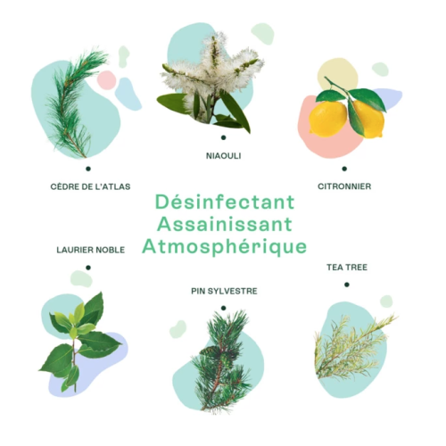 Assaini'Spray Bio 200 ml