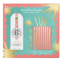 Fleur de Figuier Eau Parfumée Bienfaisante 100 ml + Diffuseur de Parfum Offert, Coffret