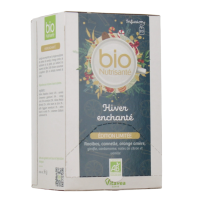 Bio Nutrisanté infusion Hiver enchanté 20 sachets