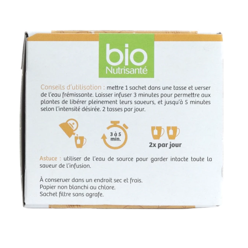 Bio Nutrisanté infusion Pumpkin chaï 20 sachets