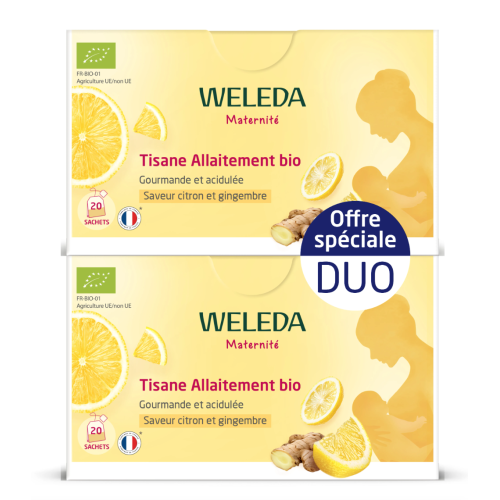 Maternité Tisane Allaitement Bio Citron Gingembre 2 x 20 Sachets