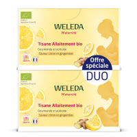 Maternité Tisane Allaitement Bio Citron Gingembre 2 x 20 Sachets