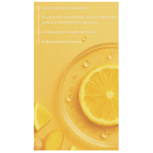 Maternité Tisane Allaitement Bio Citron Gingembre 2 x 20 Sachets