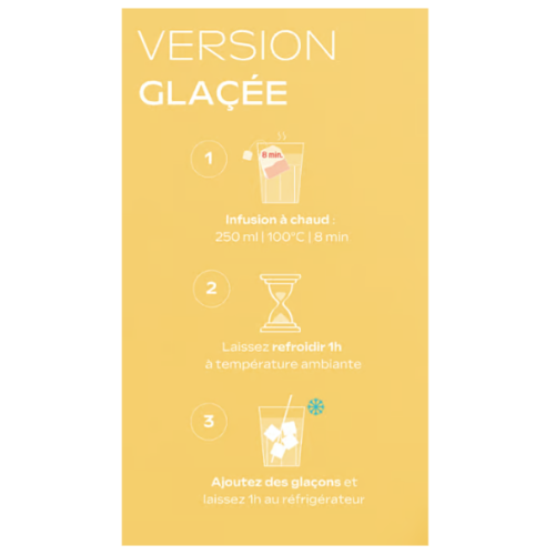 Maternité Tisane Allaitement Bio Citron Gingembre 2 x 20 Sachets